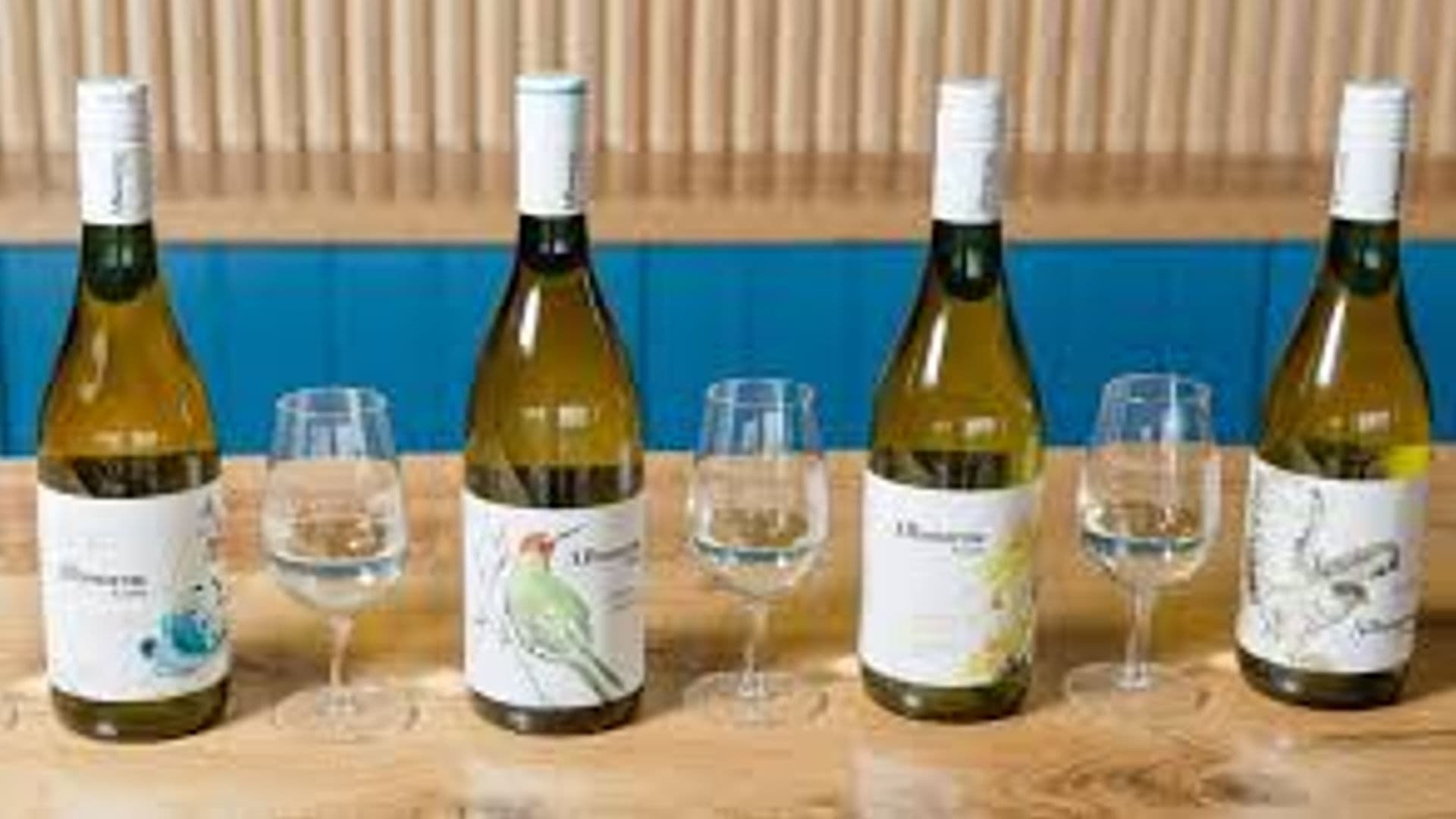 Wine Tasting Minibus Tour From Brighton with Cannonball Bikes