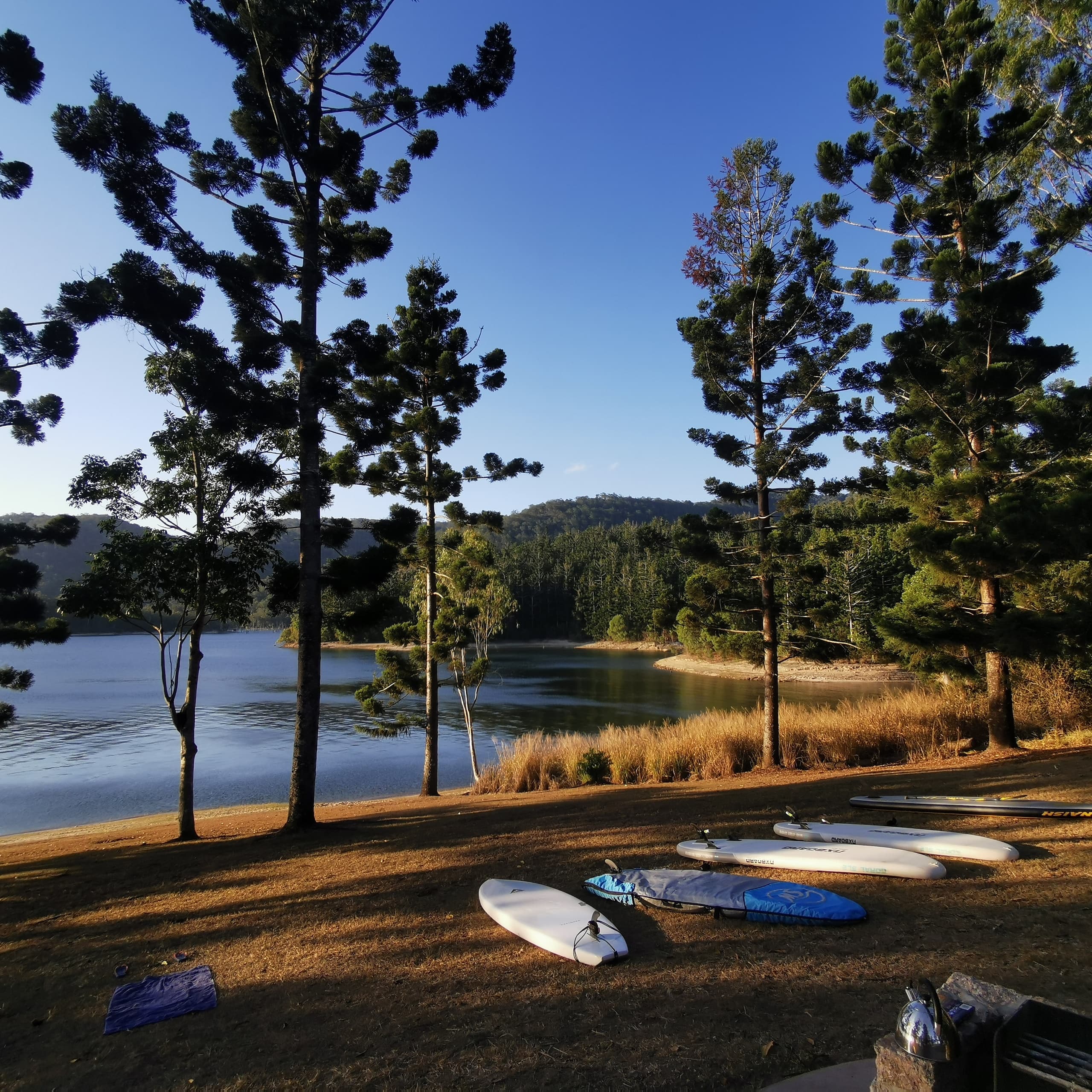 Kayaks and boards on tranquil lakeshore surrounded by pines