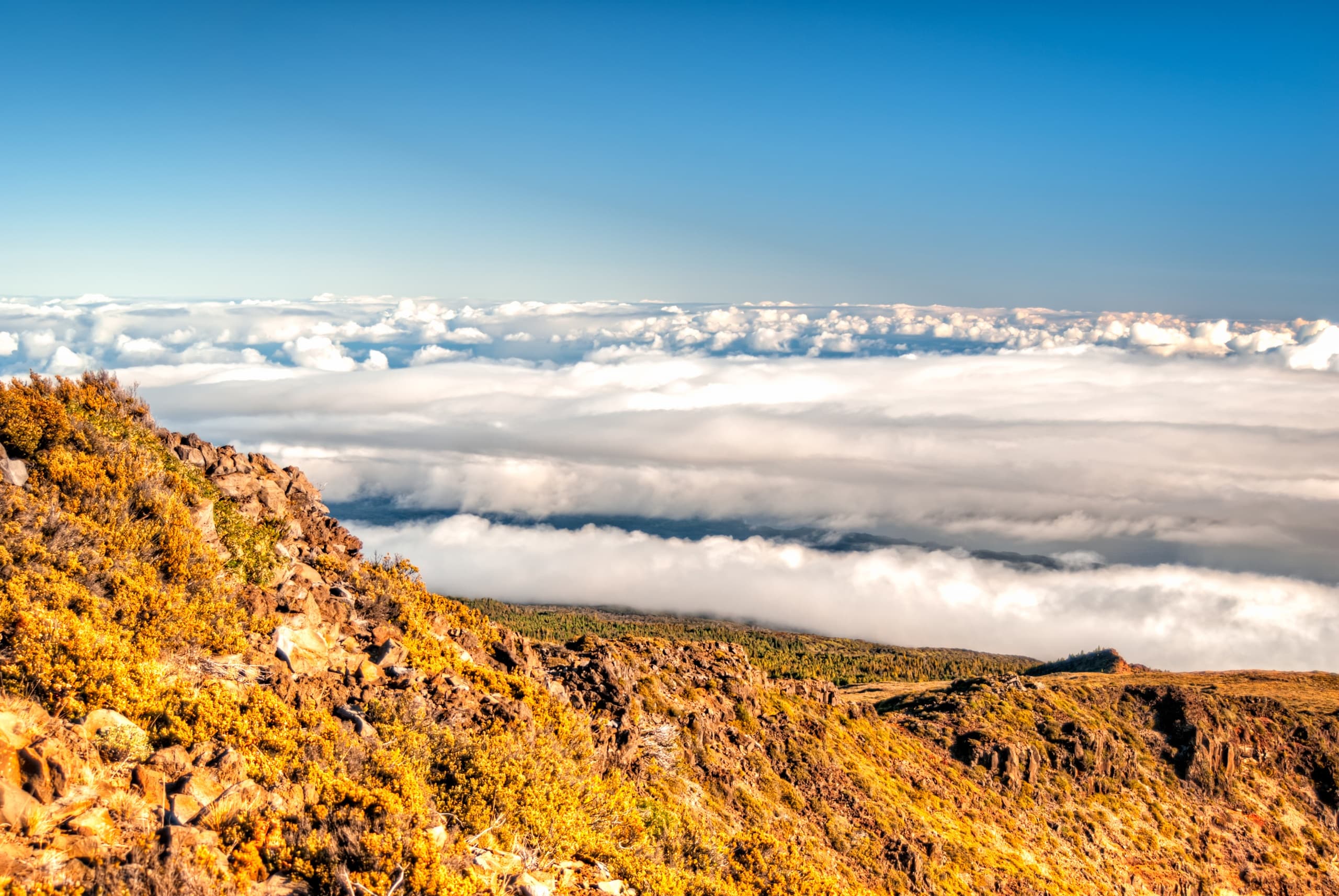 Maui Volcano Quest: Epic Hiking from Kahului to Haleakala