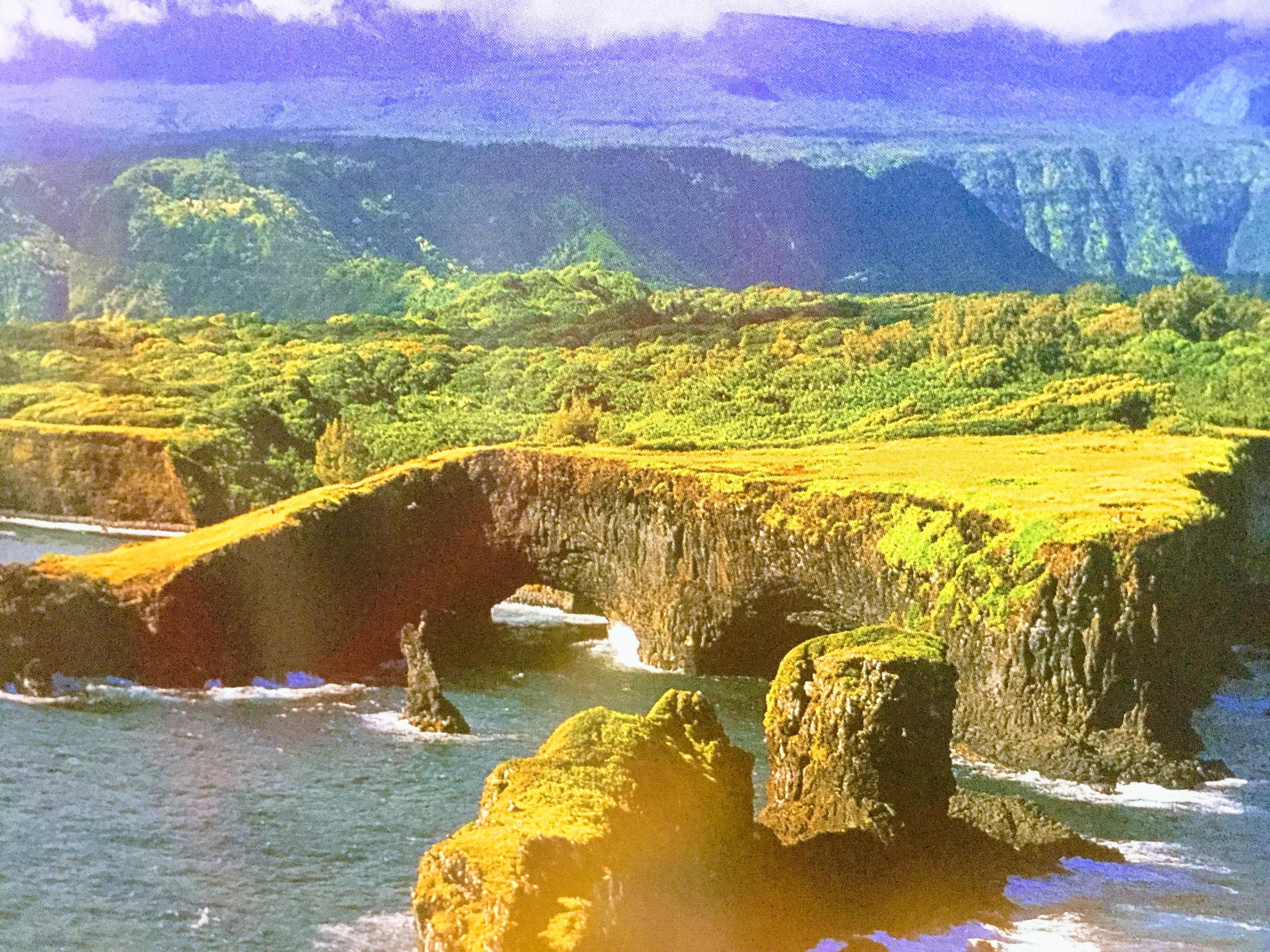 Green coastal cliffs and ocean bays, scenic aerial Maui landscape