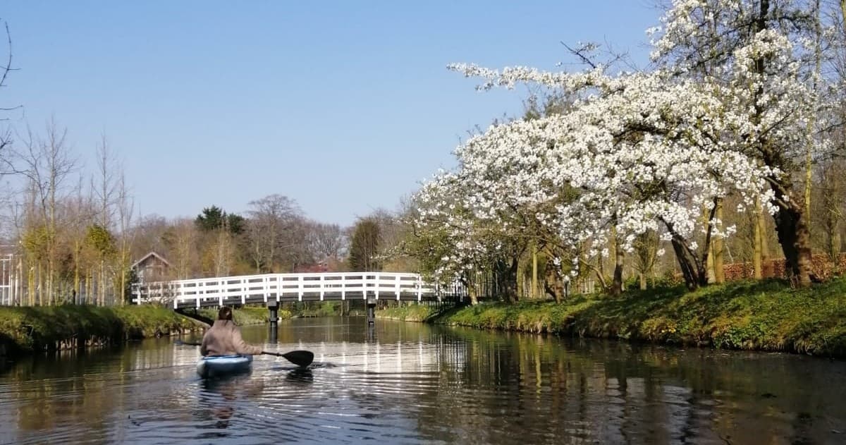 Kayakers paddling on a scenic Dutch canal by white bridge