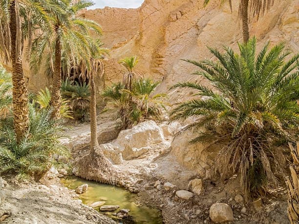 Explore The Tunisian Desert: 2-Day Tour of Tozeur Saharienne’s Sahara Wonders