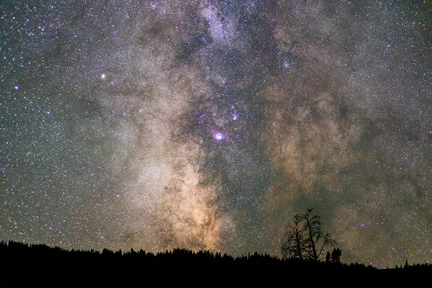 Private Night Photography | Private in Jackson, Wyoming