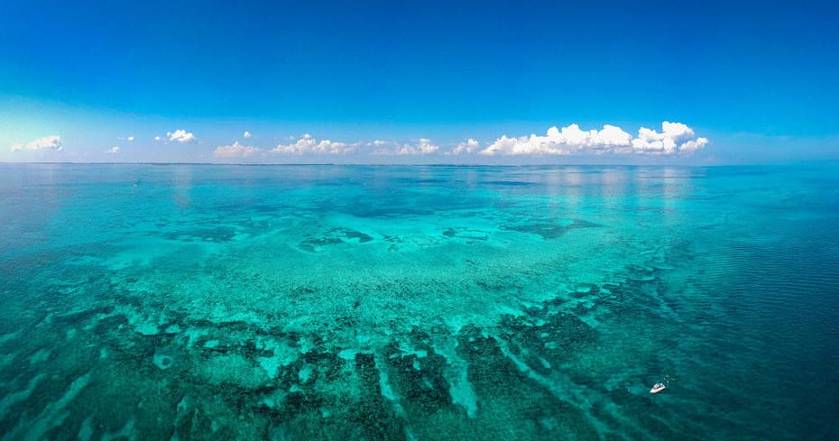 Aerial view of vibrant coral reef and turquoise sea, snorkeling area