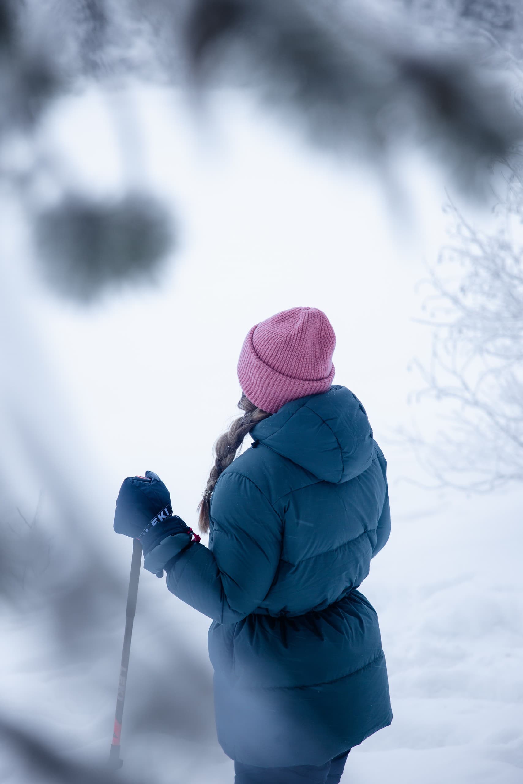 Levi summit snowshoe tour: Fairy Tale Forest & tundra panoramas photo 1