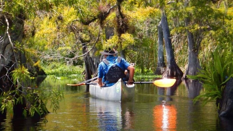 Paddle the Mysterious Blackwater Creek: Cypress Swamp Kayak Adventure near Eustis photo 1