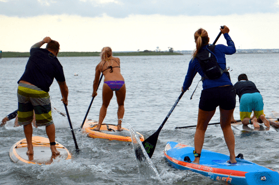 Stand-Up Paddleboarding Mastery with Paddle Method in Marina del Rey