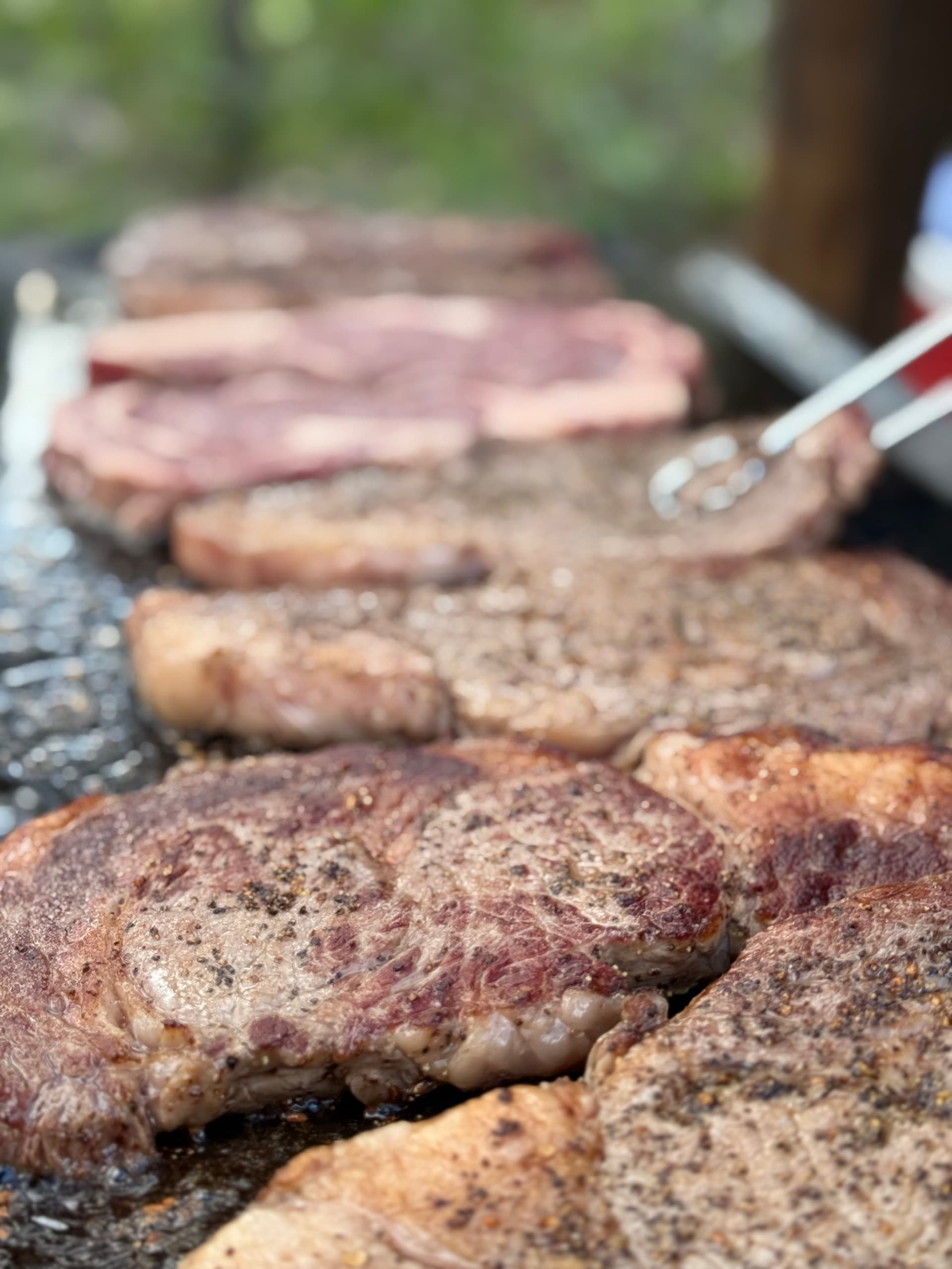 Zion Ponderosa Trail Ride and Cowboy Cookout in Orderville, Utah