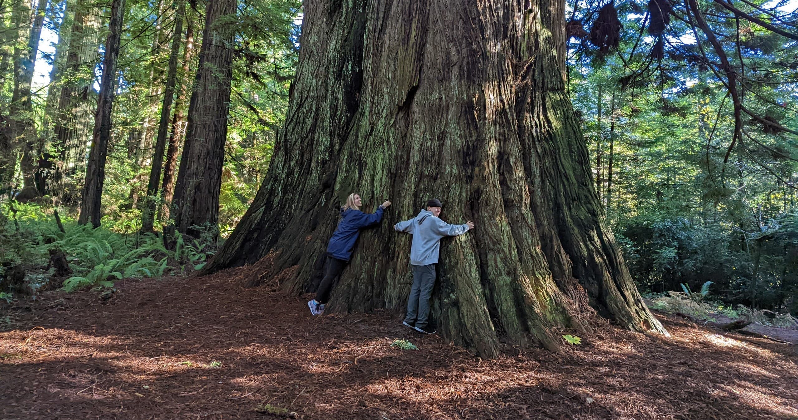 Prairie Creek Redwoods Guided Hike with Bigfoot Adventure Academy