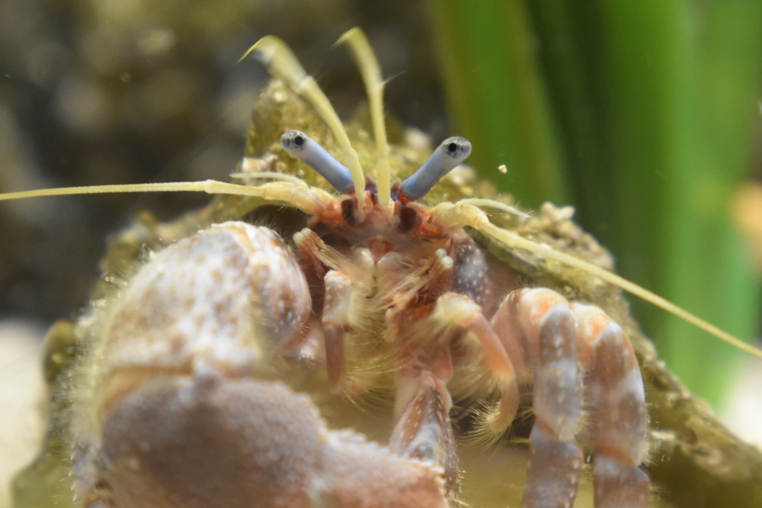 Marine Science Adventures with Tampa Bay Watch