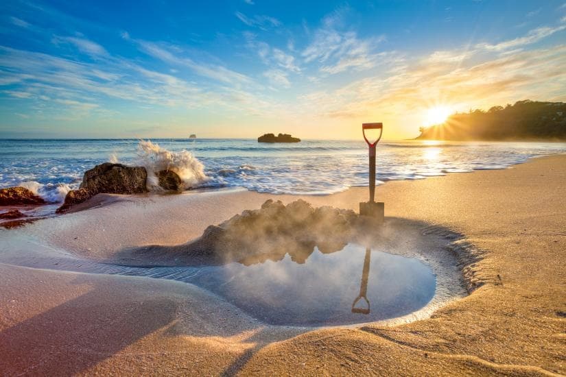 Coromandel Private Tour: Beaches, Caves & Forest by Auckland & Beyond