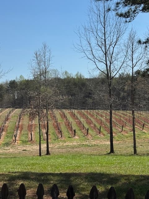 Sip Through Polk County: The Foothills Winery Tour in Columbus, NC