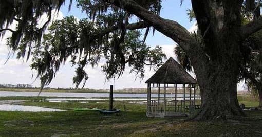 Lakeside oak tree and gazebo overlooking Kissimmee marsh