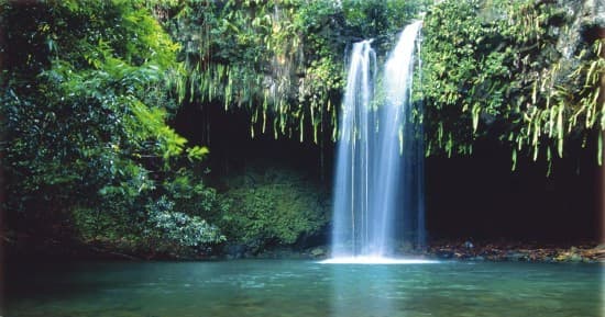 Lush jungle waterfall in Maui, serene plunge pool swim spot