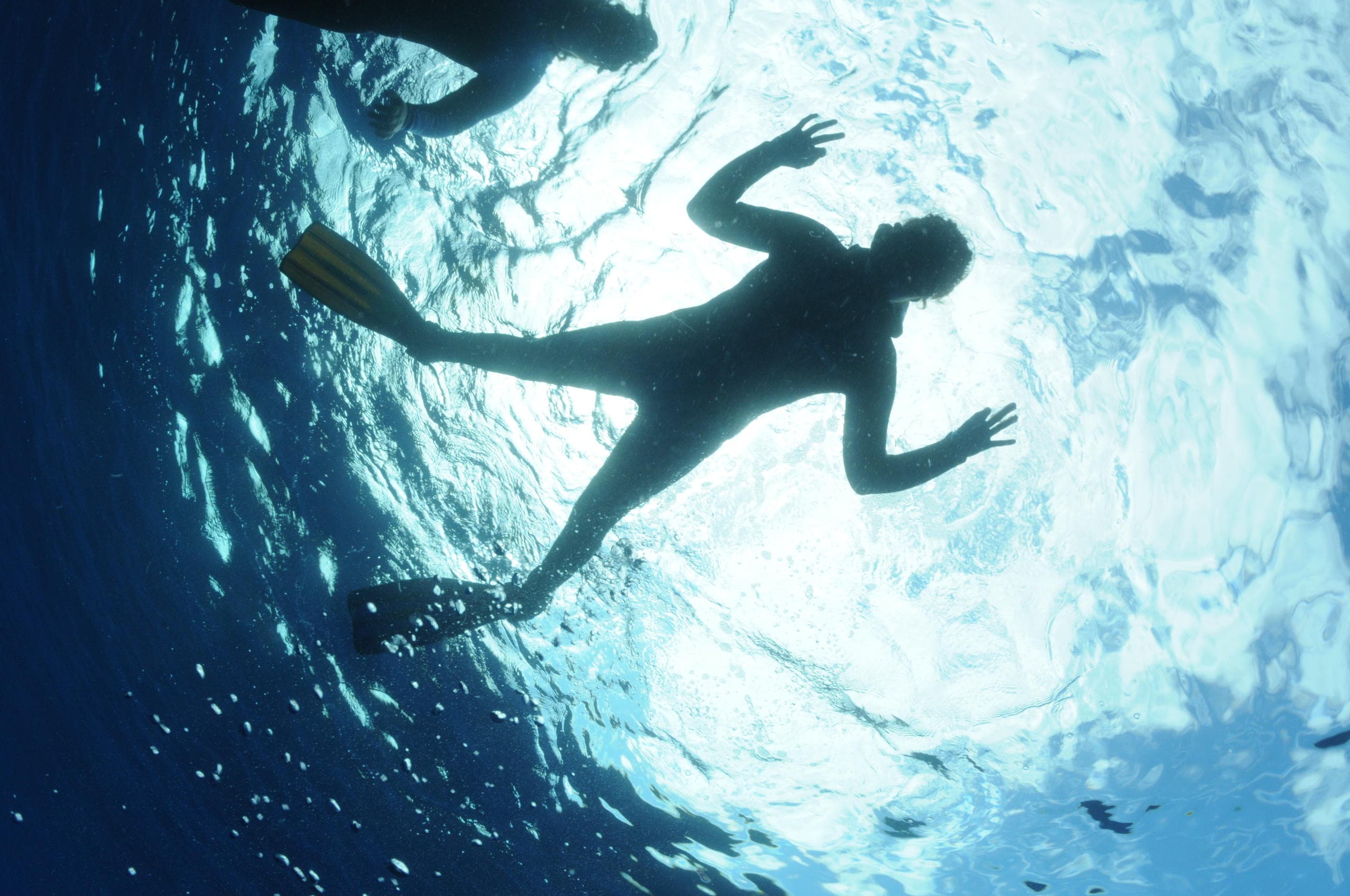 Snorkeling at Norberto Diver in the Azores: An Underwater Adventure