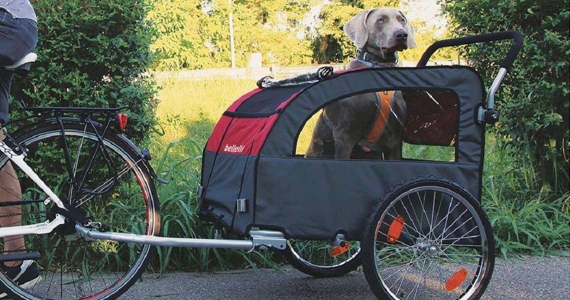 Cyclist towing pet in bike trailer through green park trail
