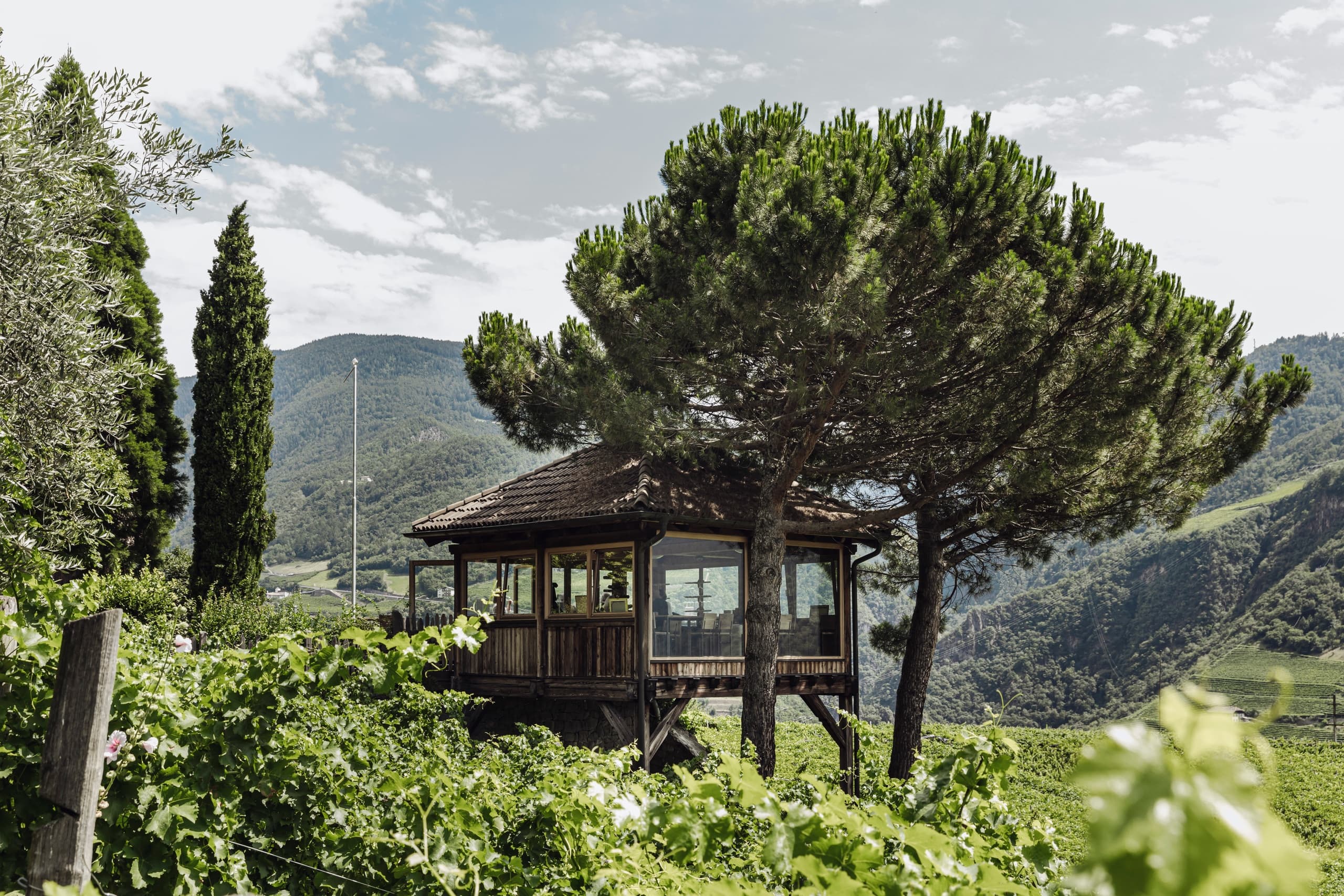 Hilltop vineyard cottage framed by cypress trees and valley views