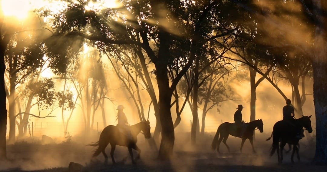 Horses galloping at sunrise through wooded Lake Louisa