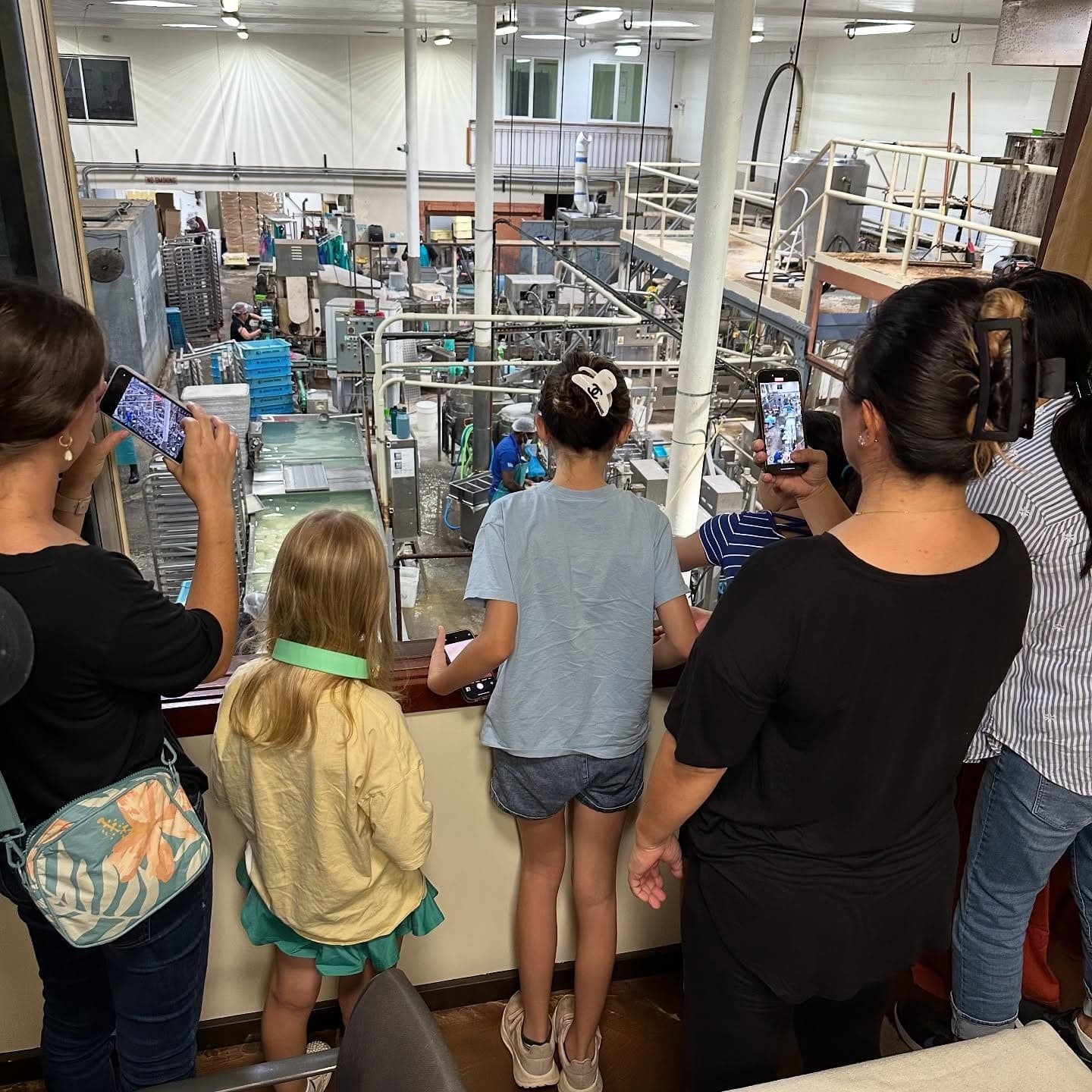 Hands-On Tofu in Honolulu: Aloha Tofu Factory Tour & Tasting photo 1