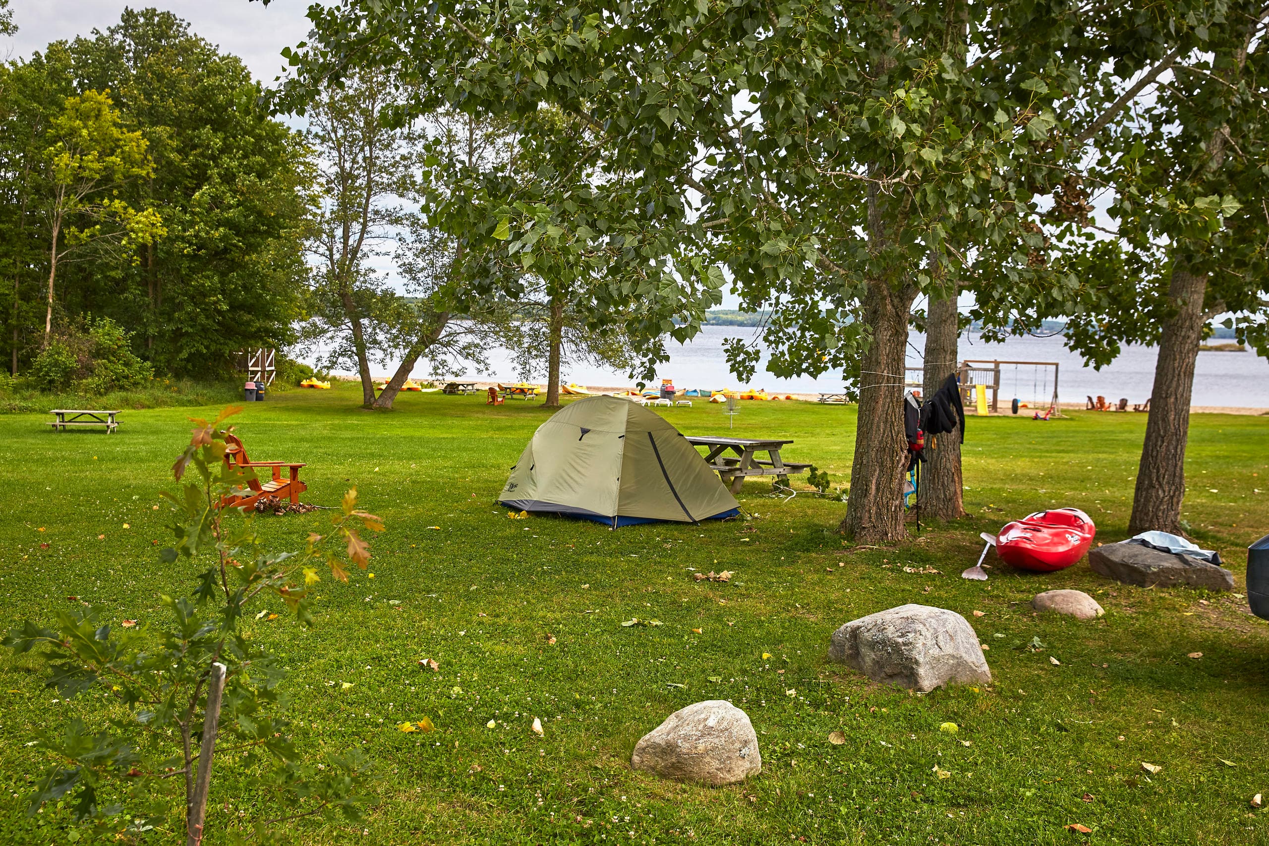 Tent camping under lakeside trees on grassy park shoreline