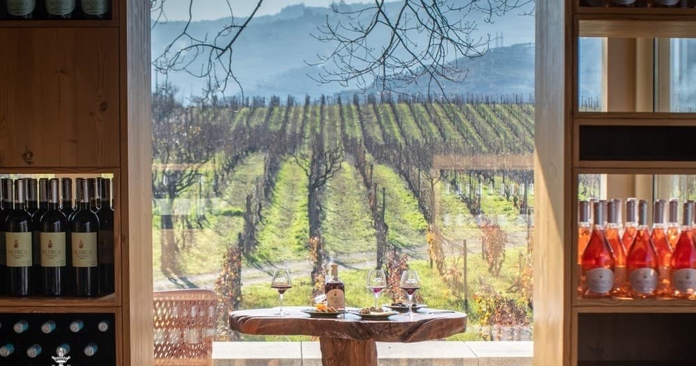 Lamego Vineyard Walk & Wine Tasting by Farm Experiences