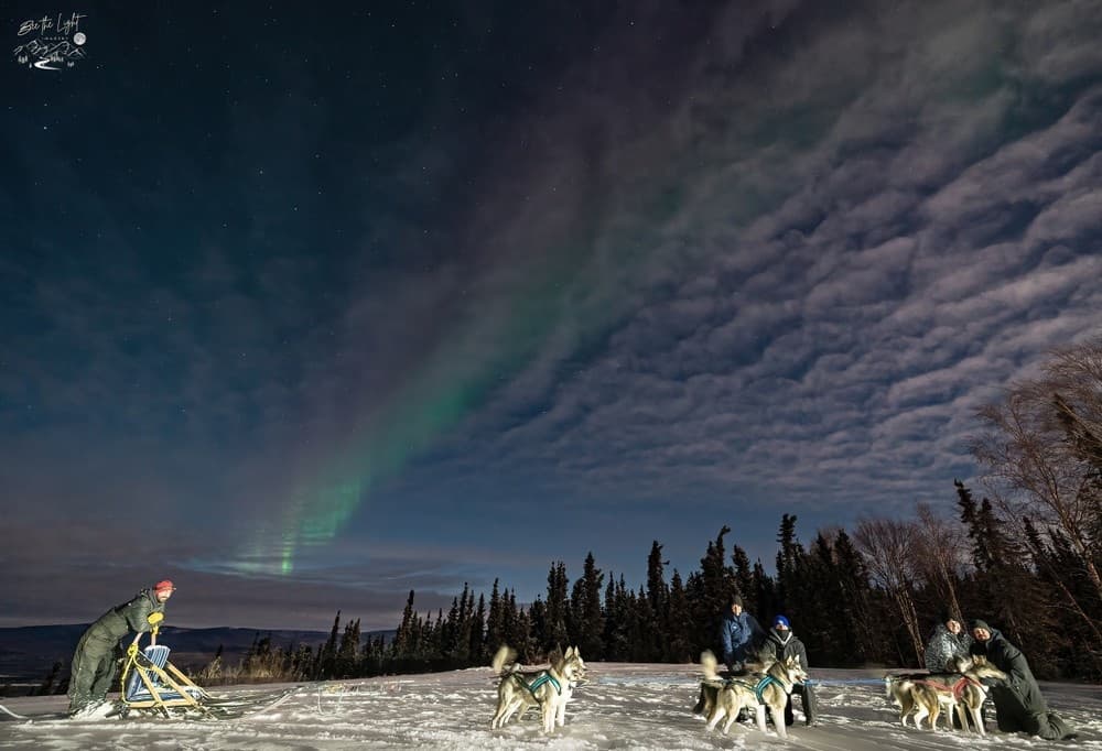 Experience Fairbanks Dog Sledding and Northern Lights: Ultimate Alaska Winter Adventure