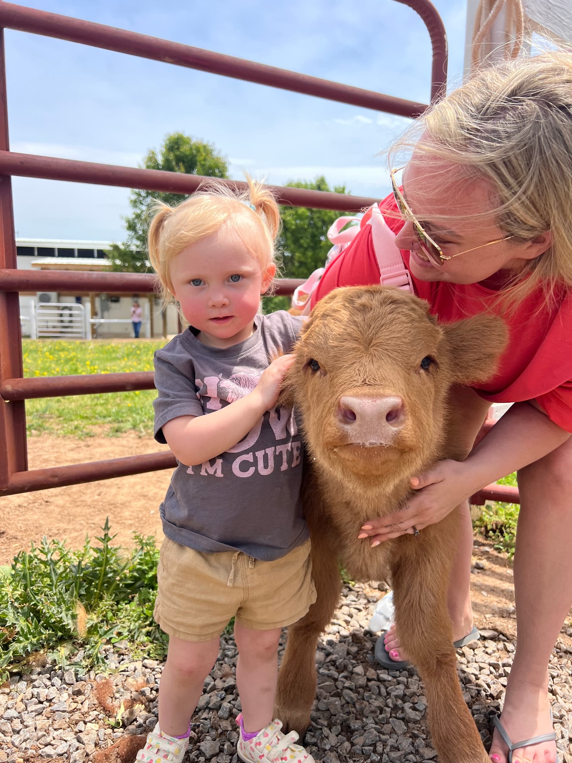 Farm Animal Encounters at Cedar Pond Farms – Family-Friendly Adventure