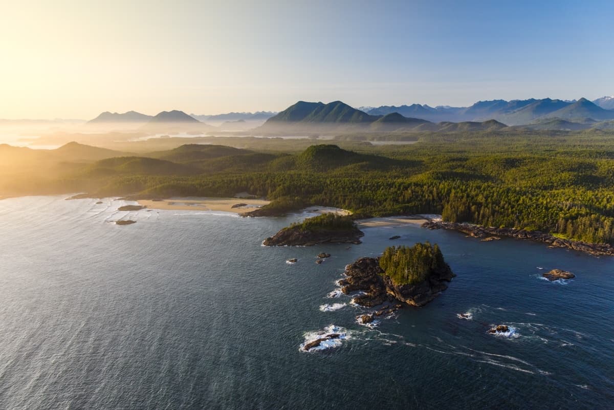 Vancouver Island Premium | Walking Tour in Vancouver, British Columbia