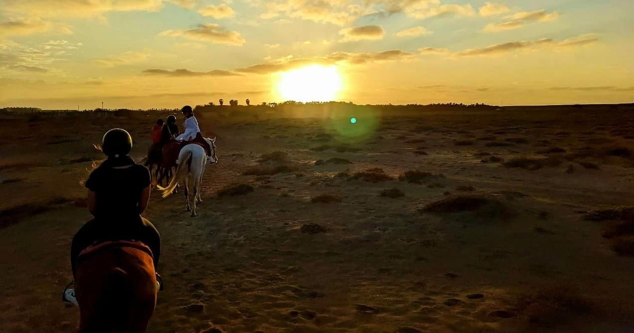 Horseback Riding on Salt Flats & Beaches with Cabo Verde Tours in Santa Maria