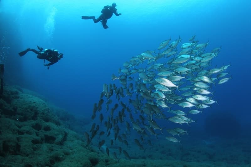 Scuba Diving with Chania Diving Center in Crete