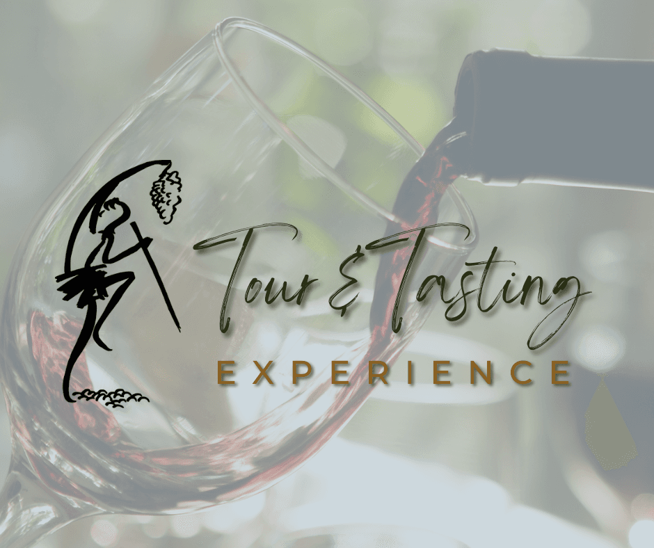 Wine Tasting Adventure at Enoch's Stomp Vineyard & Winery