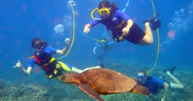 Snuba divers swimming with sea turtle over tropical coral reef