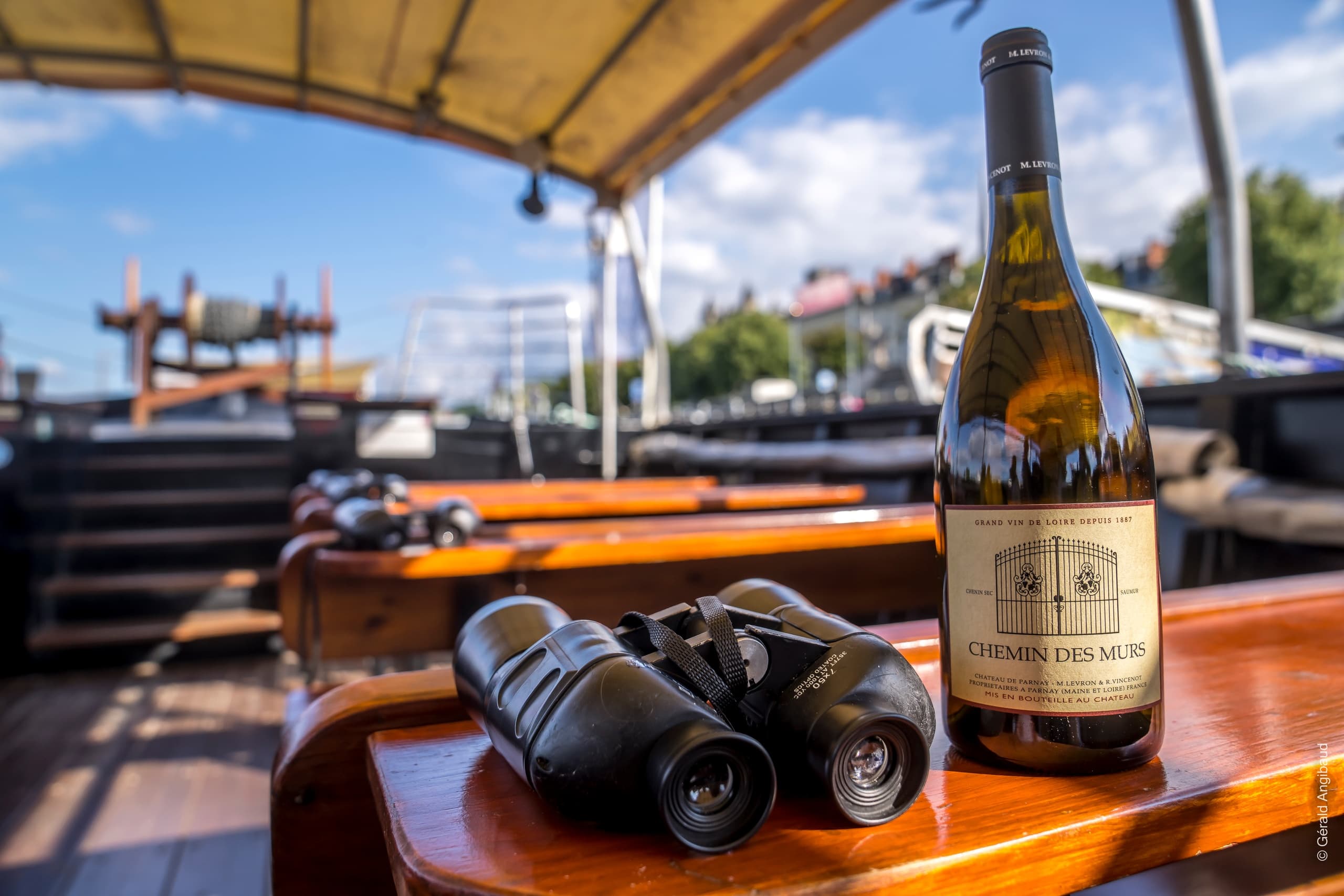 Water Activities & Wine Tasting at Château de Parnay