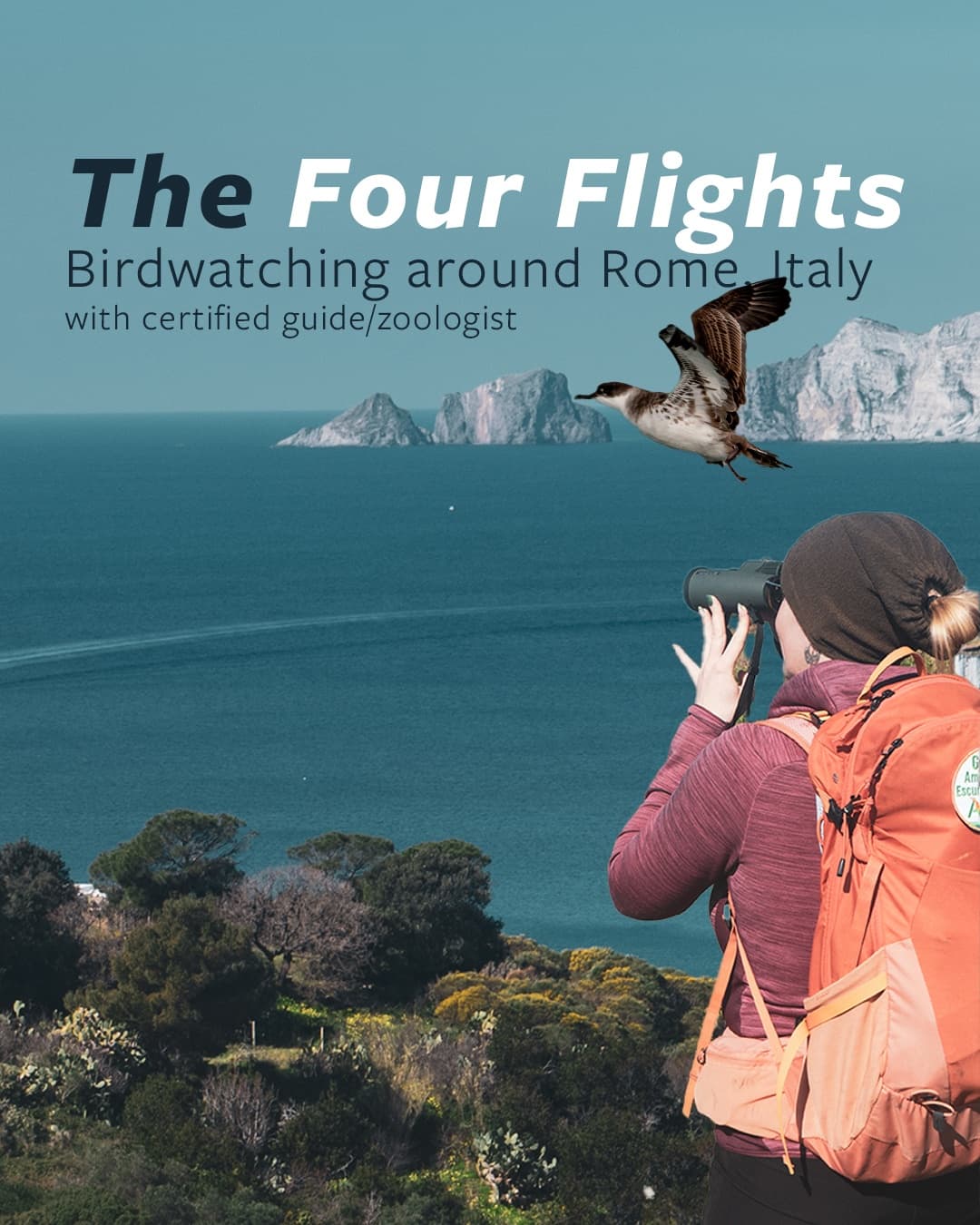 Seasonal Birdwatching with Nature of Sal in Lazio