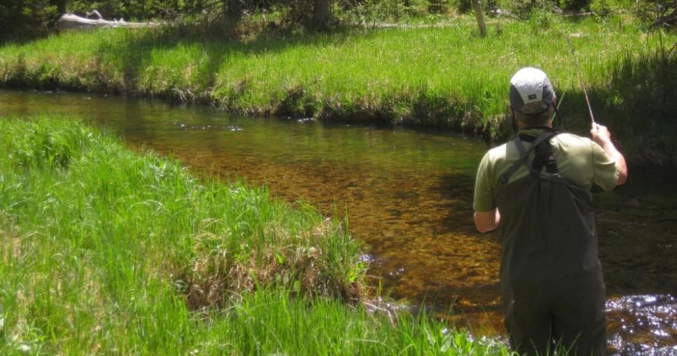 Solo angler casting in verdant meadow stream for trout