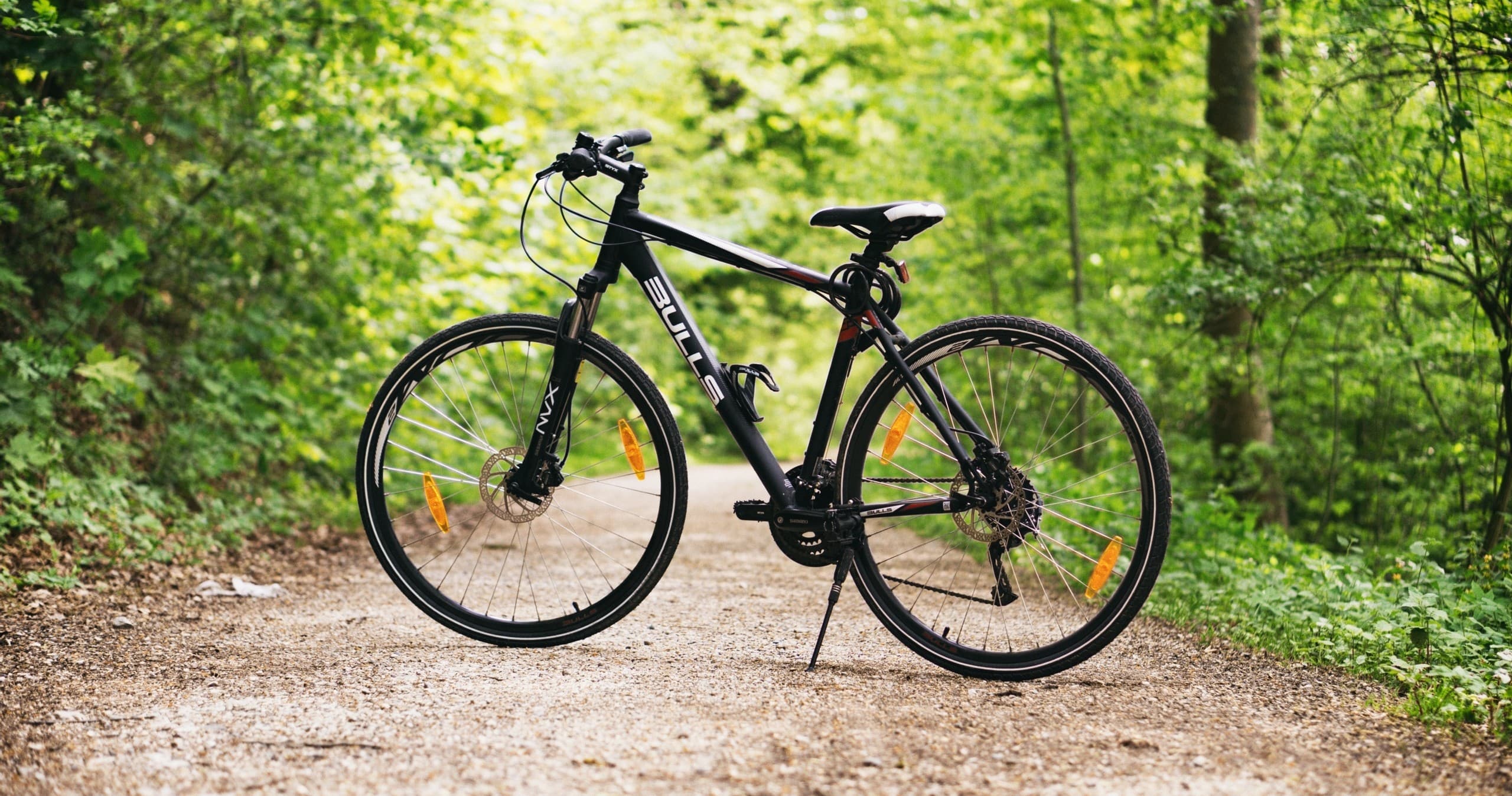 Bike Rentals in Galicia with Lamas Bike