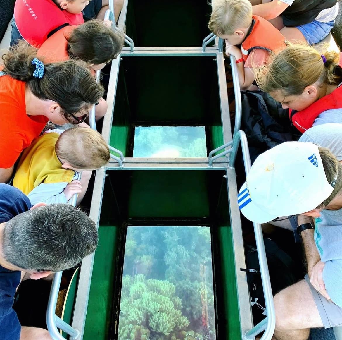 Glass-Bottom Boat Tour in Port Neill: Explore Spencer Gulf on the Freedom Explorer photo 1