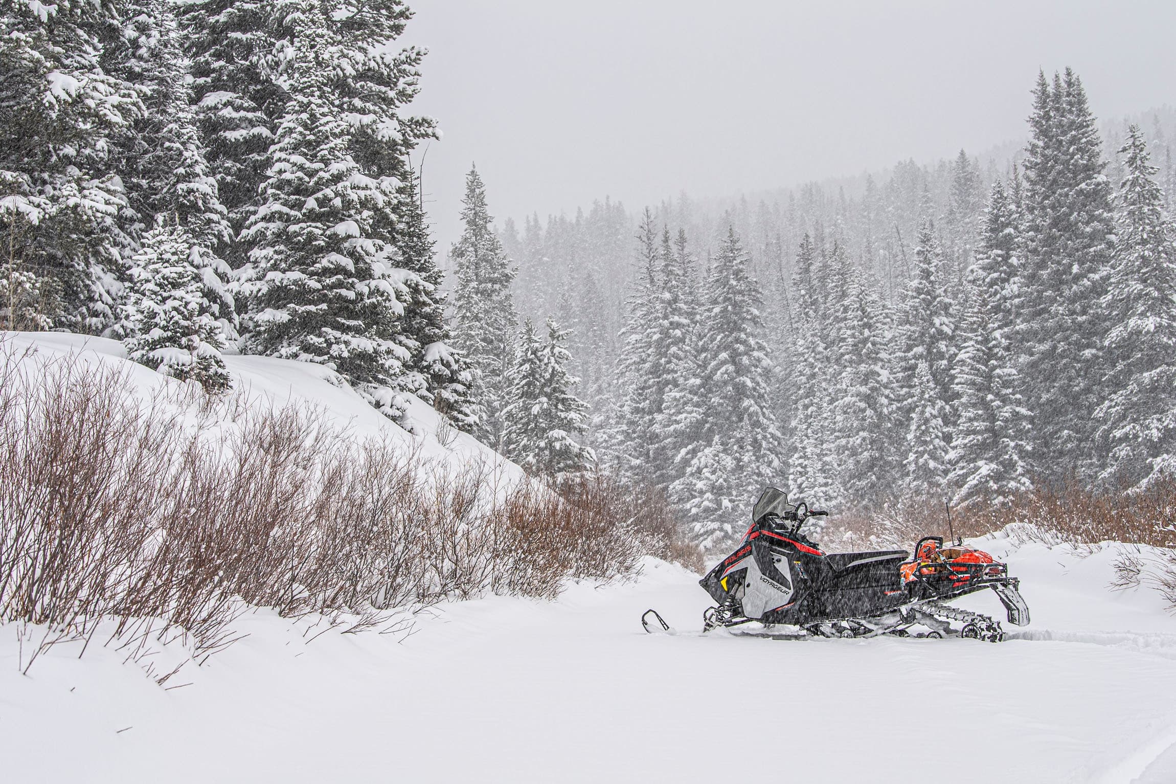 Half Day Snowmobile Rental