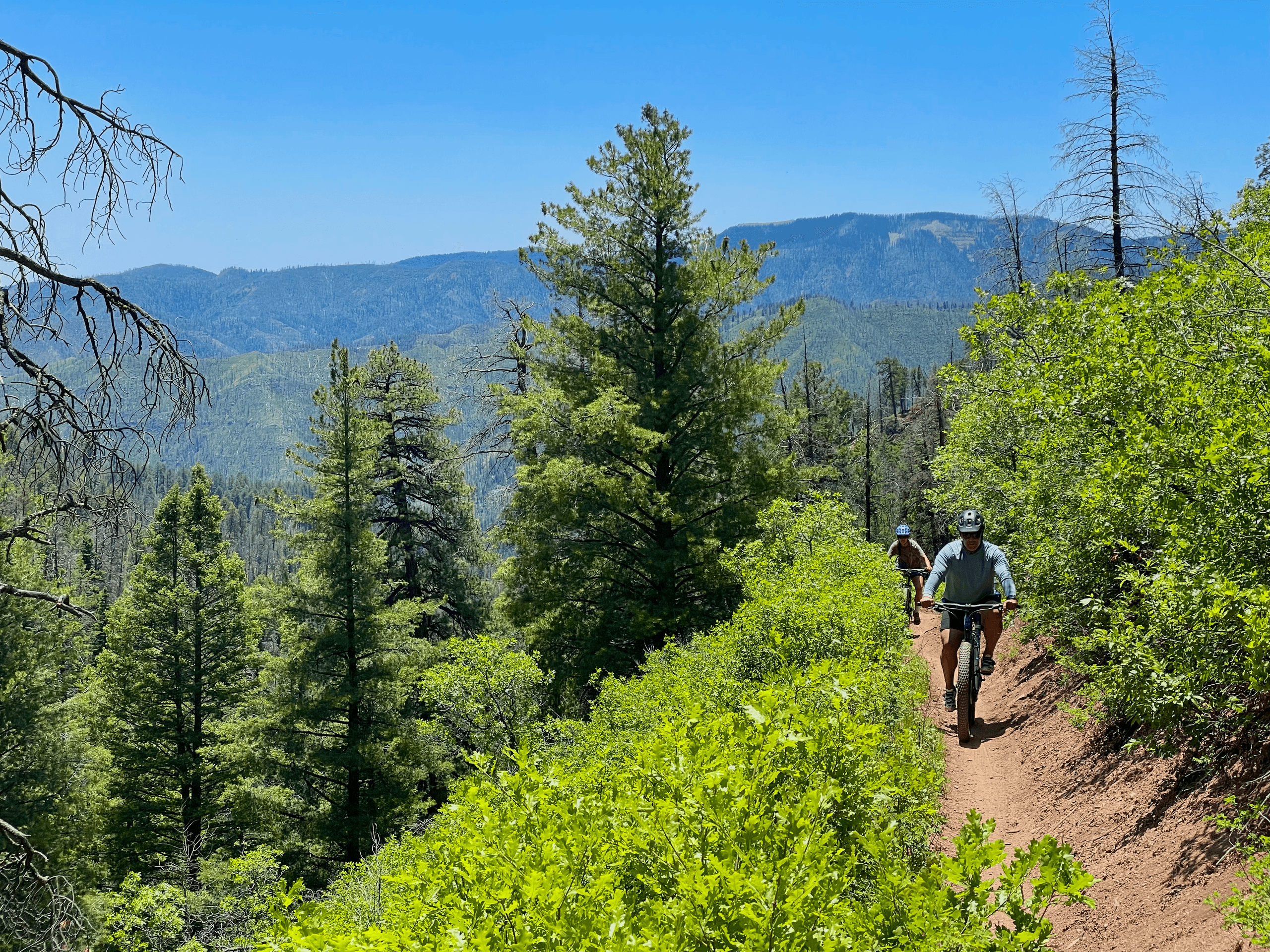 Hermosa Creek MTB Tour with Durango Biking Adventures