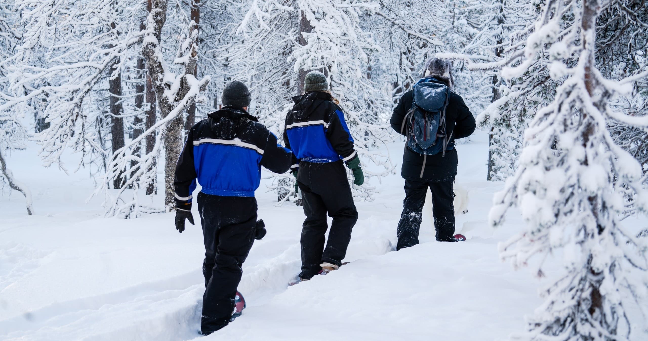 Snowshoeing Adventures with Northern Lights Village Levi