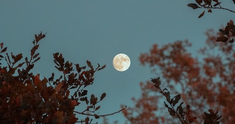 Moonlight Rafting on Utah's Provo River - Private Tour