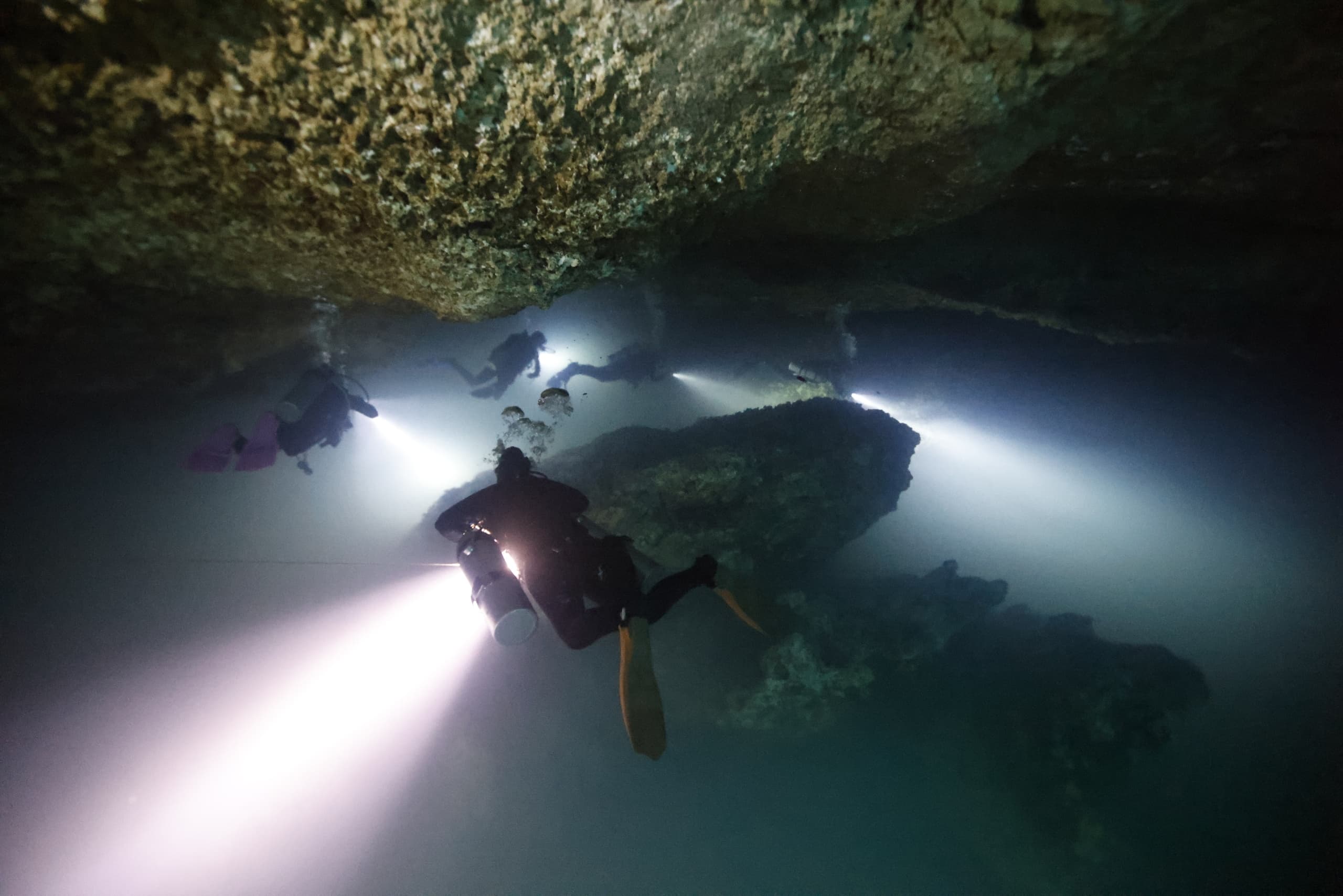 Yucatán Cavern Expedition: Ancient Cenotes & November 2026