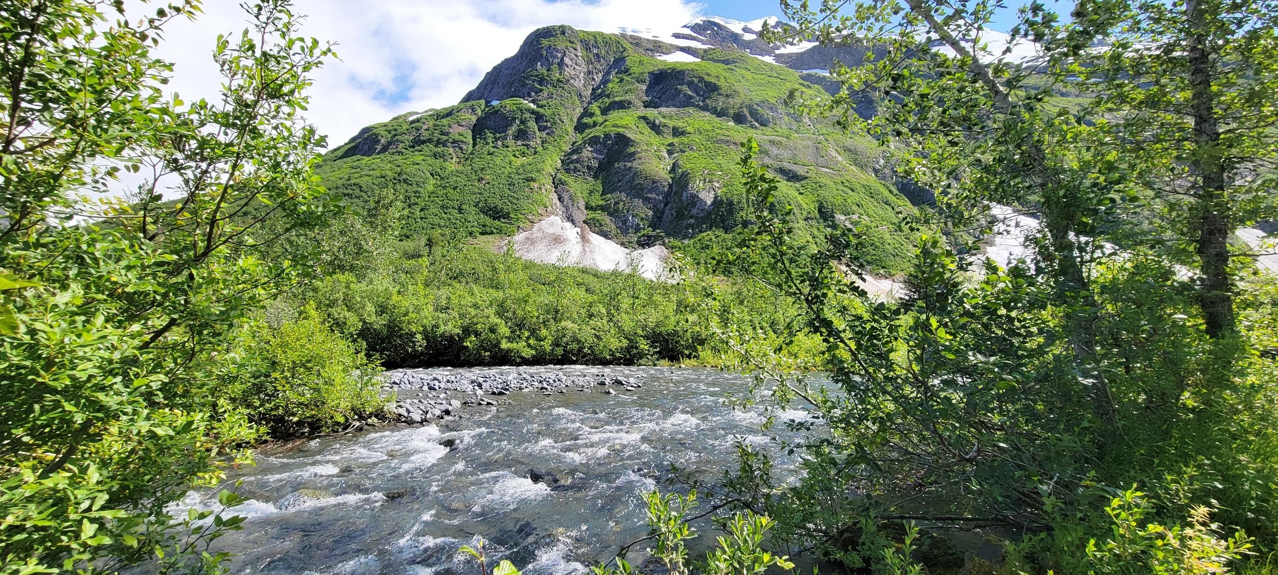 Anchorage to Seward Scenic Transfer — Wildlife, Glaciers & Turnagain Arm photo 1
