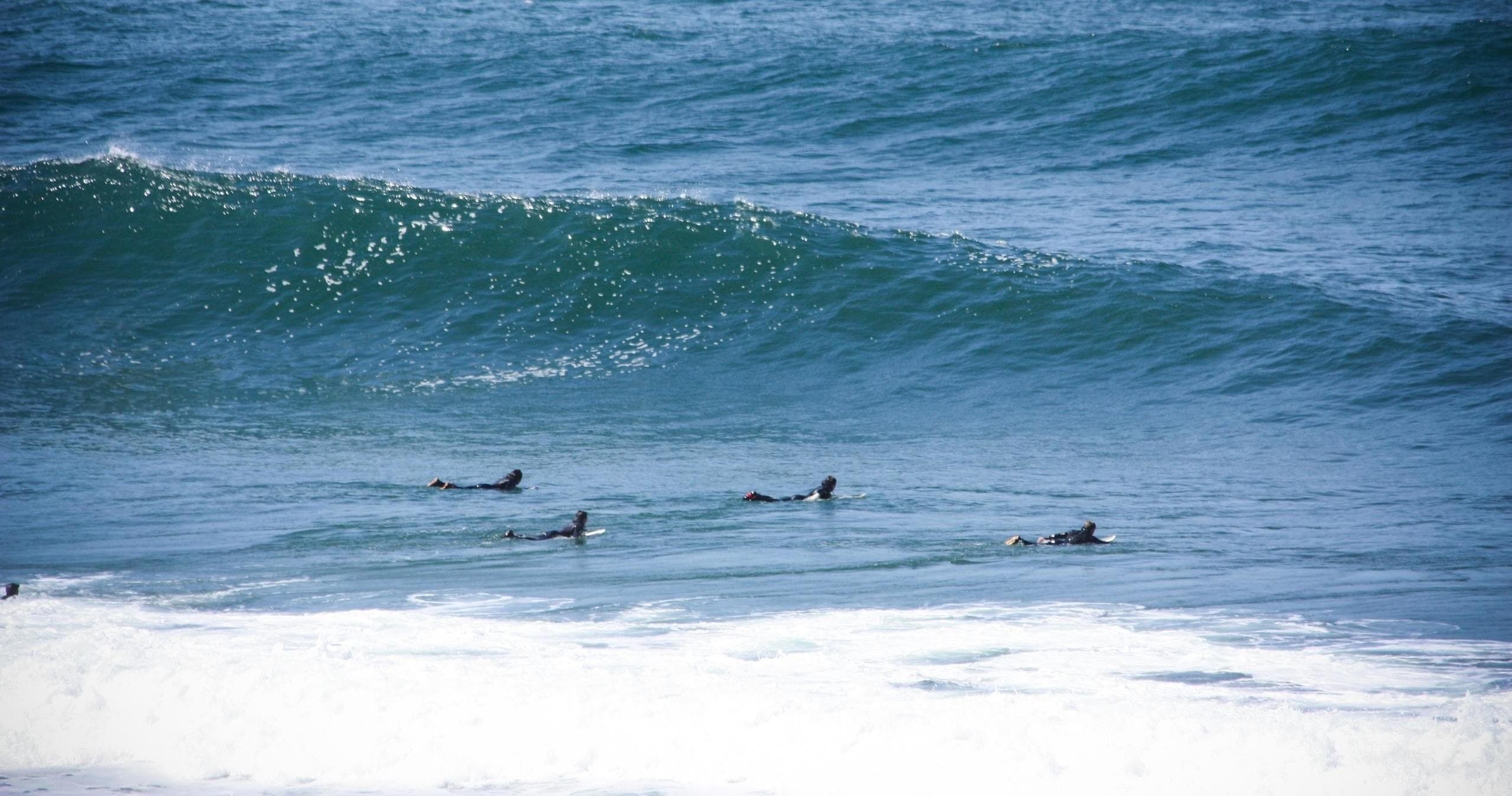 Boogie Board Rental Package at Cannon Beach, Oregon