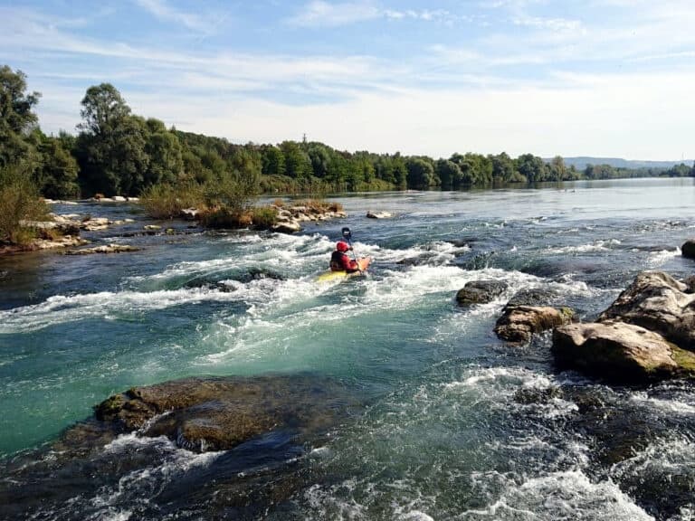 Water Activities & Wildsport Tours on the Altrhein