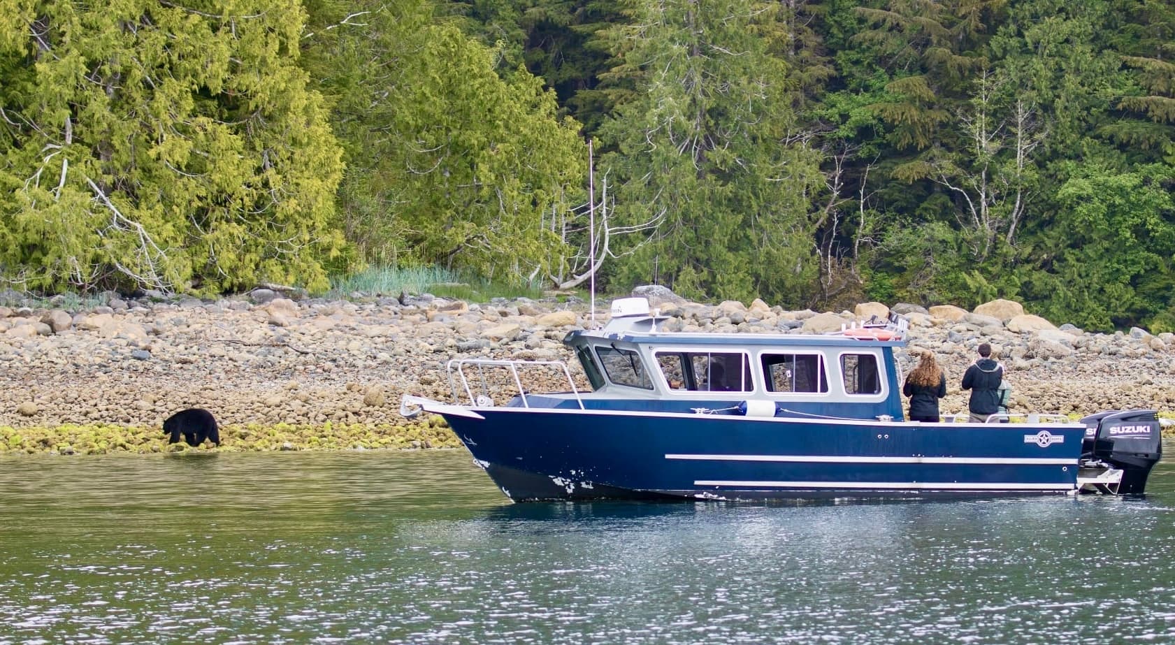 Bear Watching Tours in Tofino with The Whale Centre