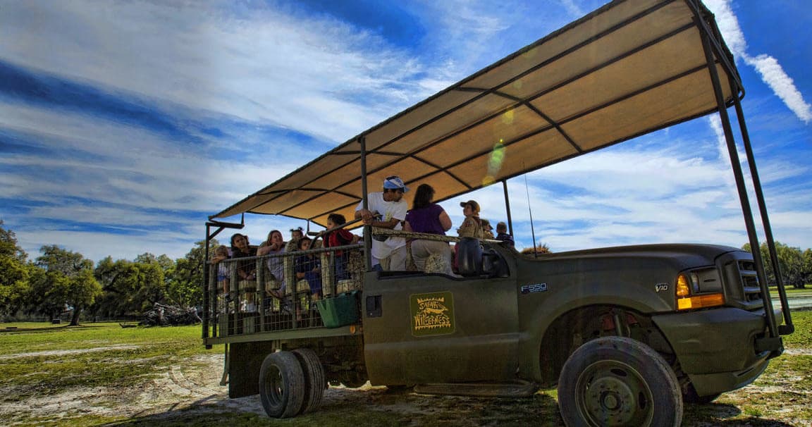 Custom Vehicle Safari at Safari Wilderness Ranch in Lakeland