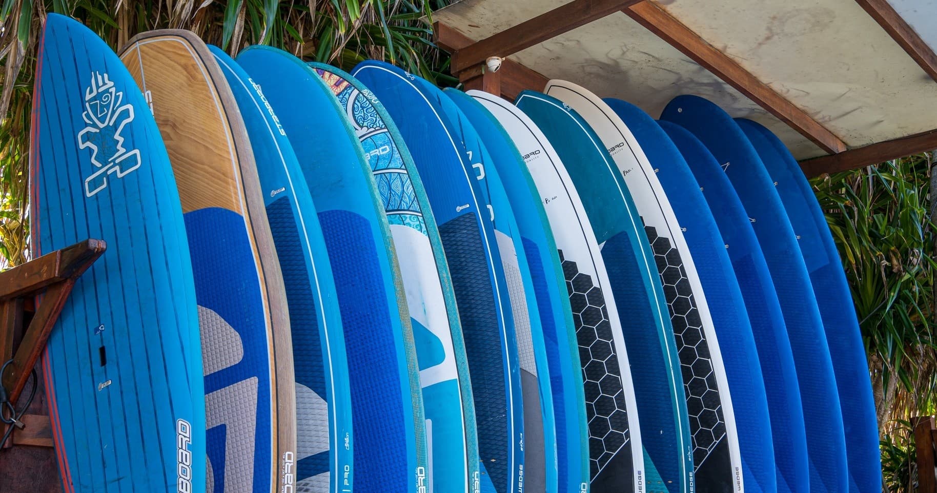 Water Activities with Surf Mexico: High-Performance SUP Rental