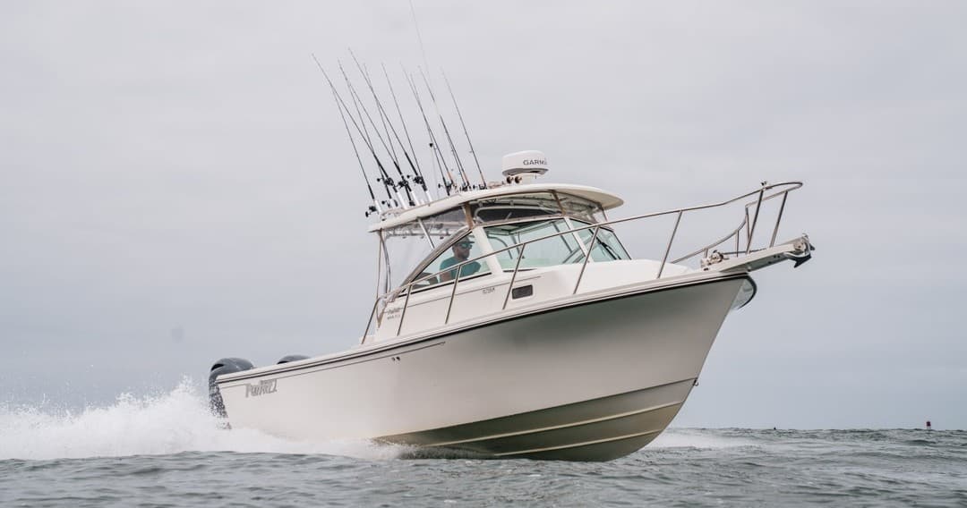 Dana Point Sportfishing fleet