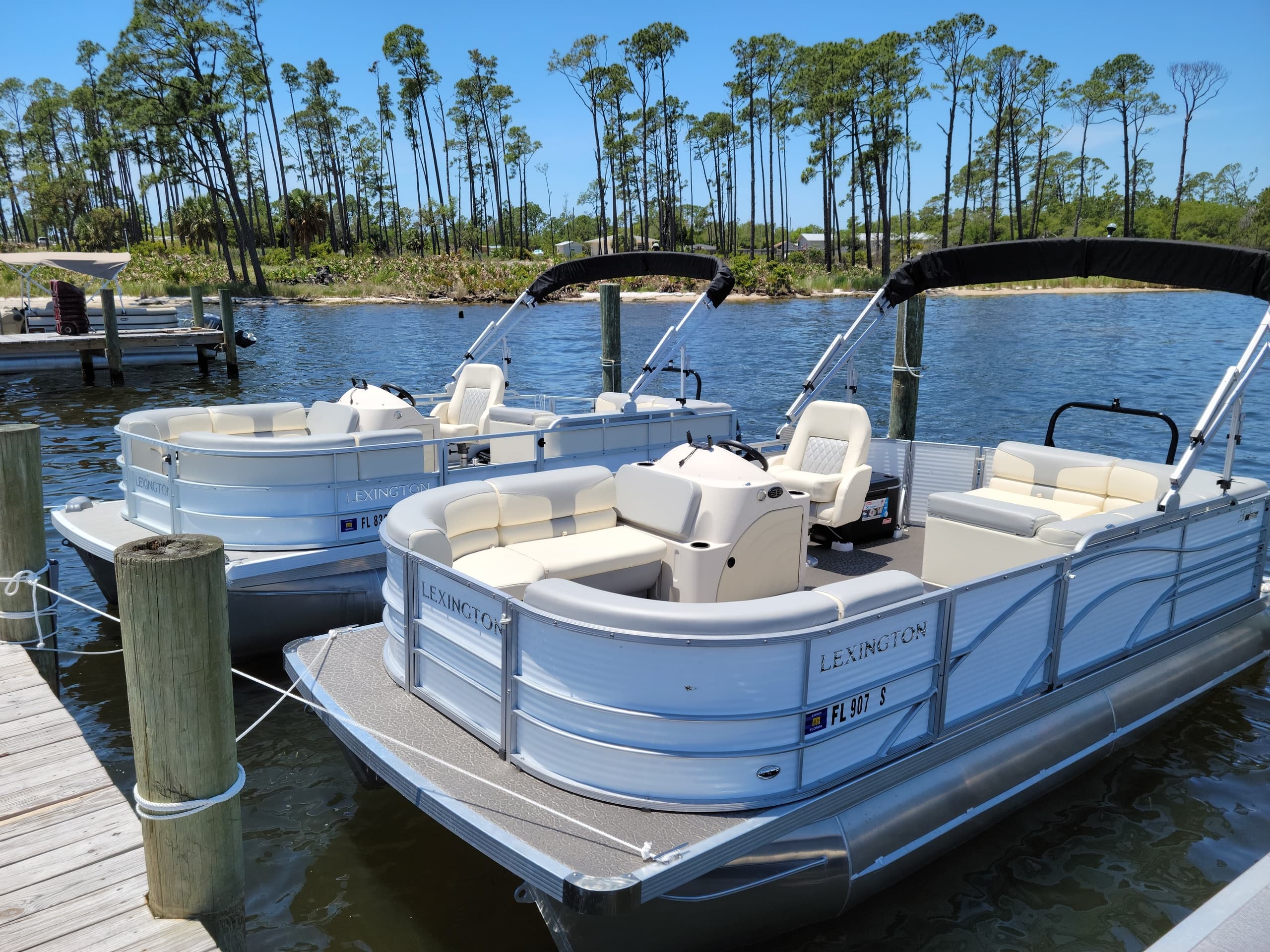 Cluster of pontoon boats docked in peaceful marshy inlet